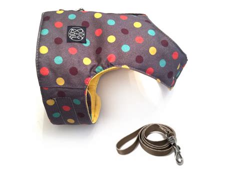 GUIA P/ CAES RETRATIL TRITON DOG 3,6M