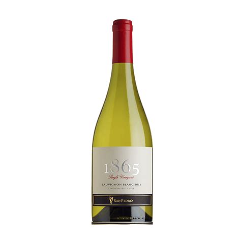 VINHO RAKA SAUVIGNON BLANC 750ML