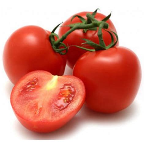 TOMATE HOLANDES BDJ