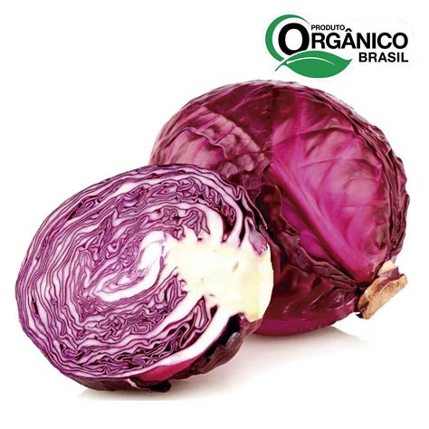 RADITIO PIEMONTESE BEE ORGANIC 350G
