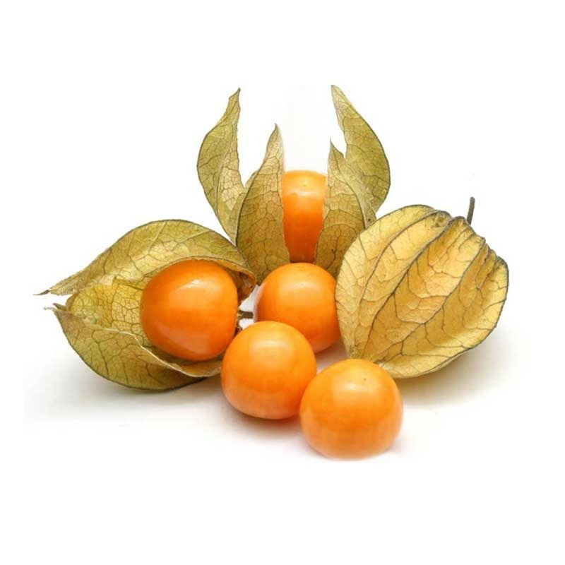 PHYSALIS (UCHUVA)  UNIDADE