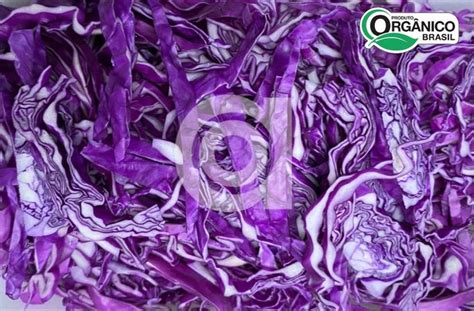REPOLHO ROXO CAPELA ORGANICO 300G