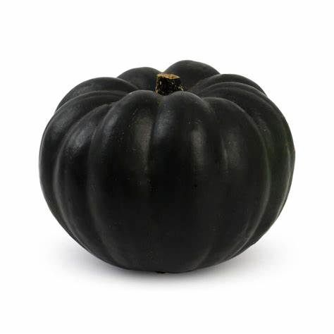 ABOBORA PEROLA NEGRA KG