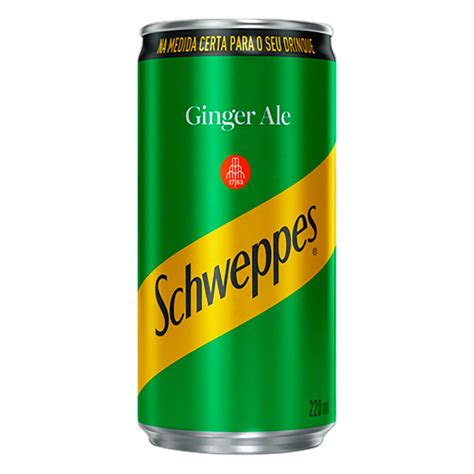 AGUA TON SCHWEPPES GINGER ALE 220ML