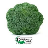 BROCOLIS NINJA ORGANICO CAISP 300G