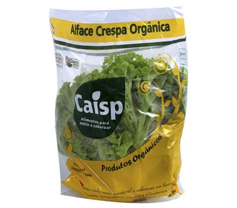 ALFACE CRESPA CAISP ORGANICO