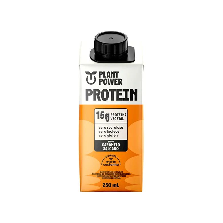BEBIDA LACTEA PROTEIN CARAMELO SALGADINHO 250ML