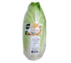 ACELGA ORGANICO CAISP