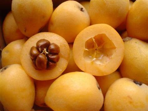 AMEIXA NESPERA BANDEJA