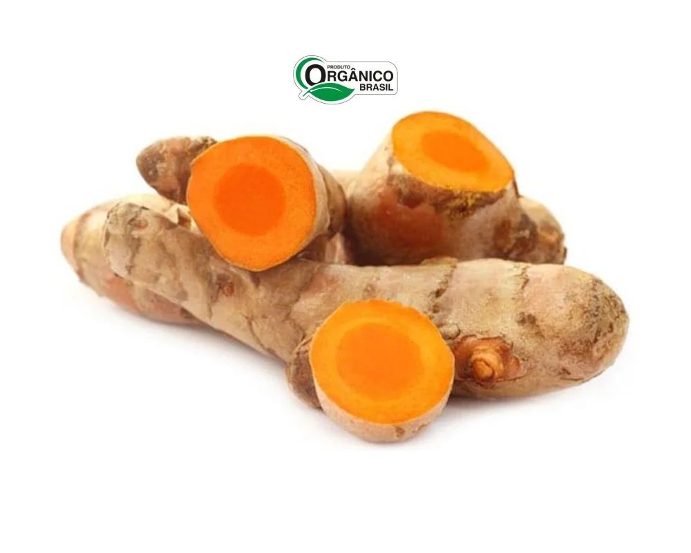 ACAFRAO DA TERRA ORG BEE ORGANIC 200G