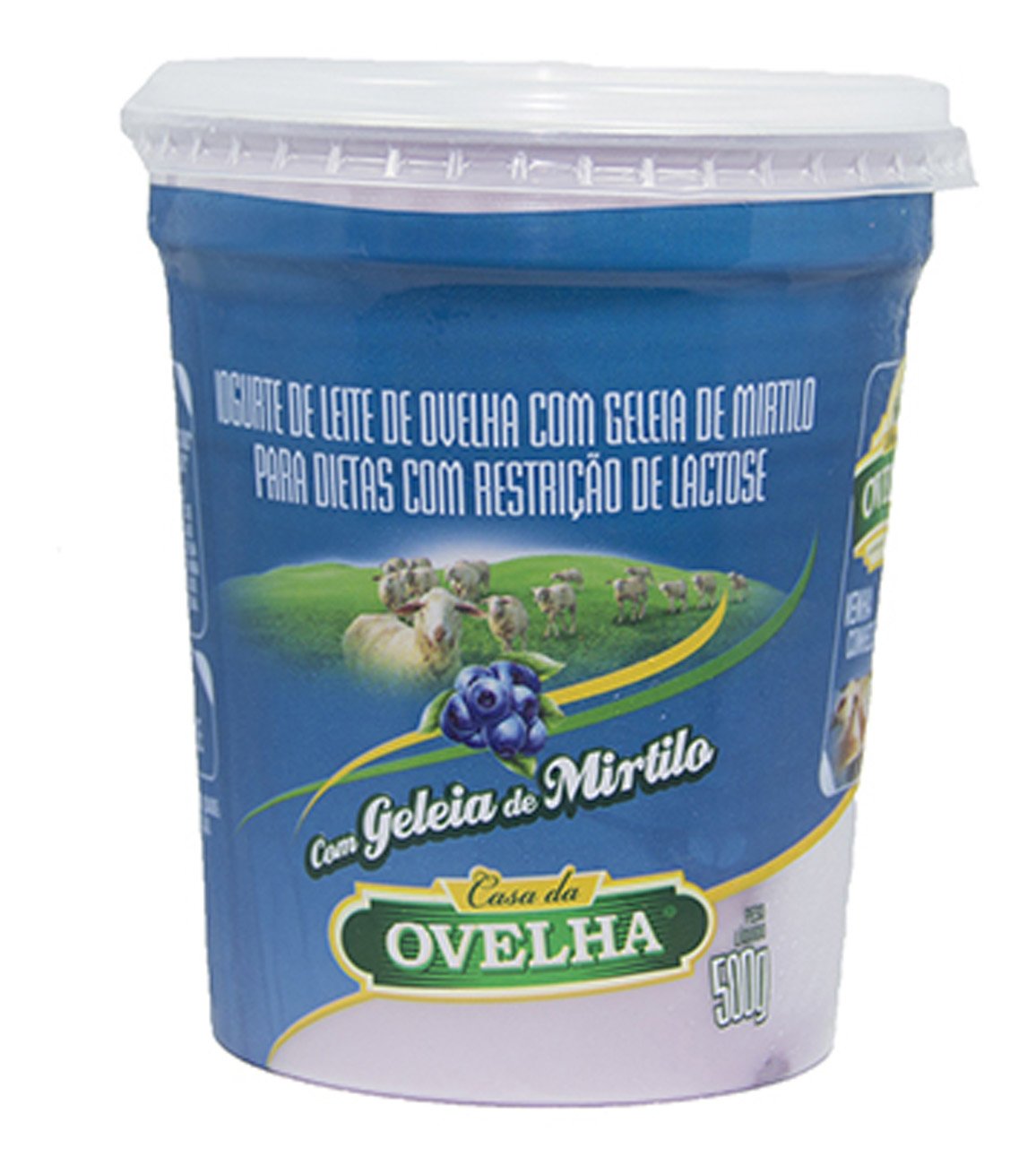 IOGURTE CASA OVELHA MIRT LIGHT SEM  LAC 500G