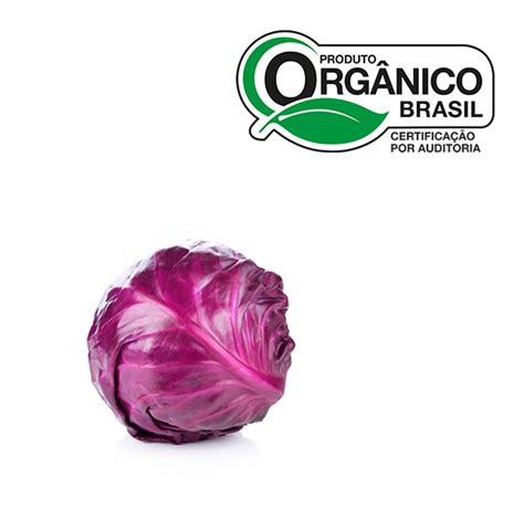 REPOLHO ROXO BEE ORGANIC 300G
